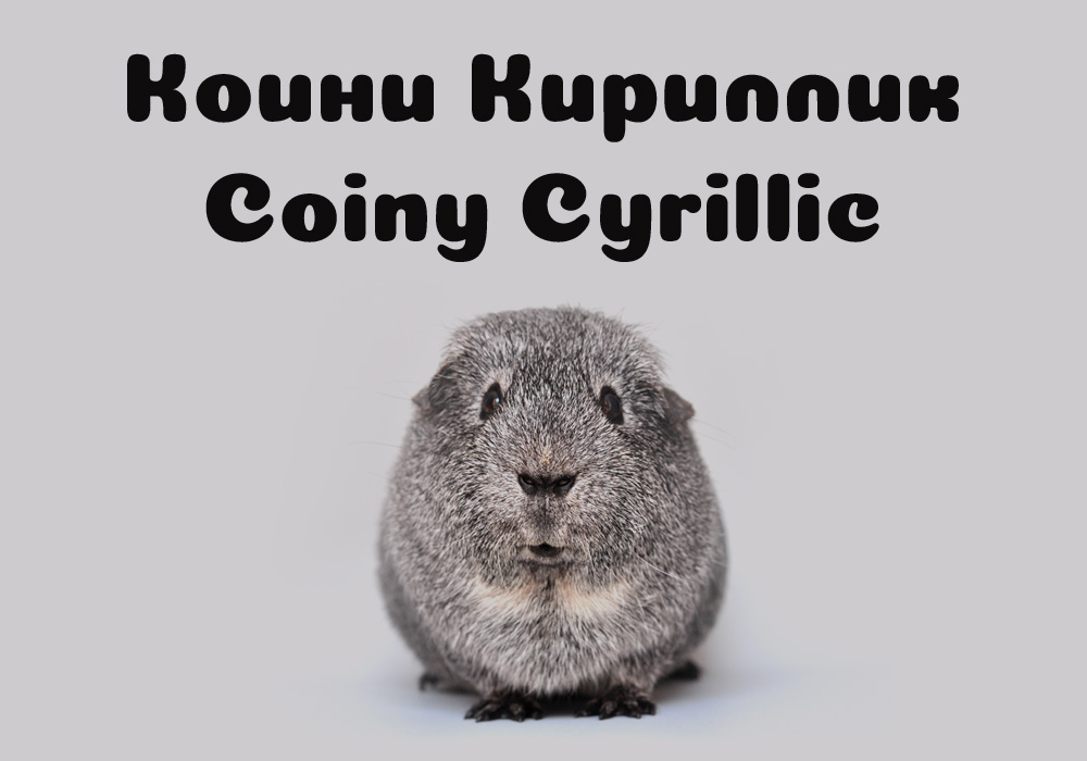 Кириллический шрифт Coiny Cyrillic