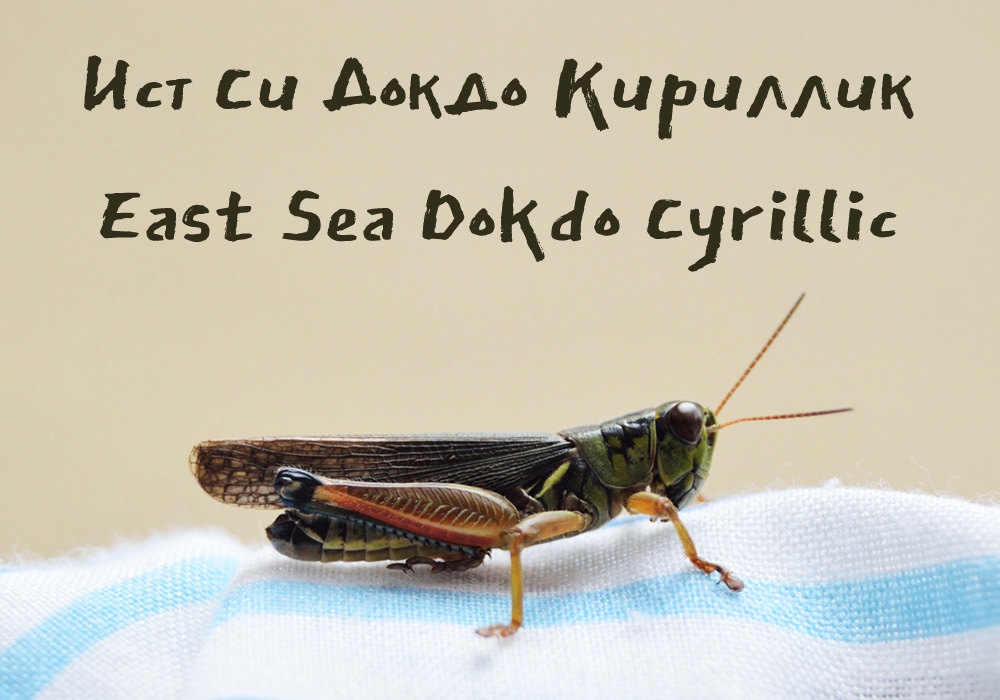 Кириллический шрифт East Sea Dokdo Cyrillic