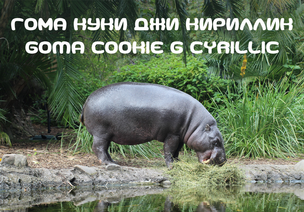 Кириллический шрифт Goma Cookie G Cyrillic